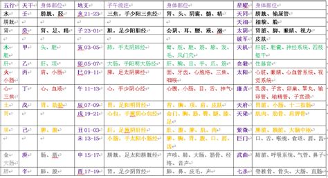 五行身体部位|五行属性查询表：五行与身体位置对应关系